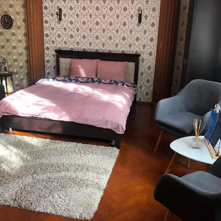 Apartment Schei Studio 1 Brasov