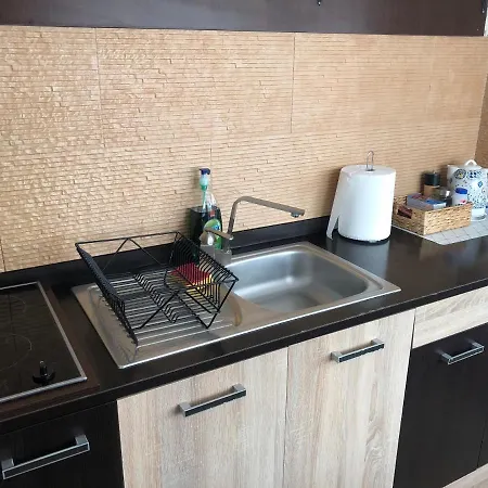 Schei Studio 1 Apartment *