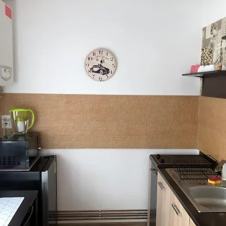 Schei Studio 1 Apartment Brasov