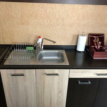 Schei Studio 1 Apartment *