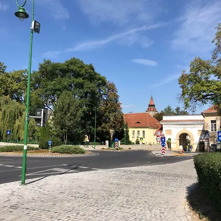 Schei 1