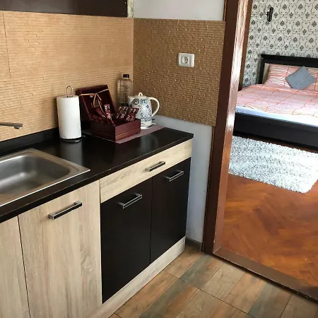 Schei Studio 1 Apartment Brasov
