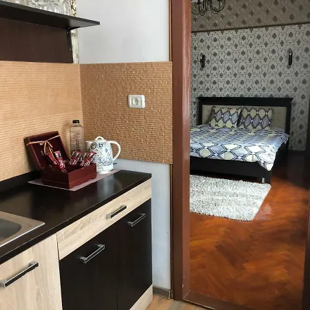Apartment Schei Studio 1 Brasov