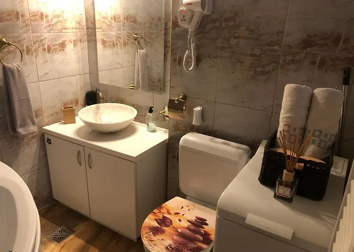 Apartment Schei Studio 1 Brasov