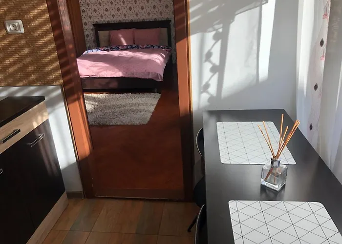 Schei Studio 1 Apartment Brasov