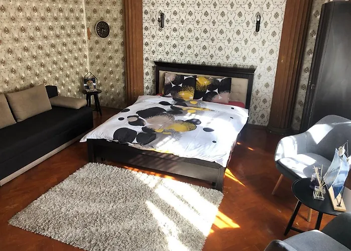 Schei Studio 1 * Brasov