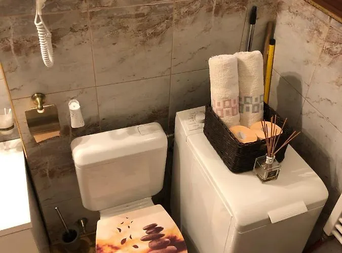 Apartment Schei Studio 1