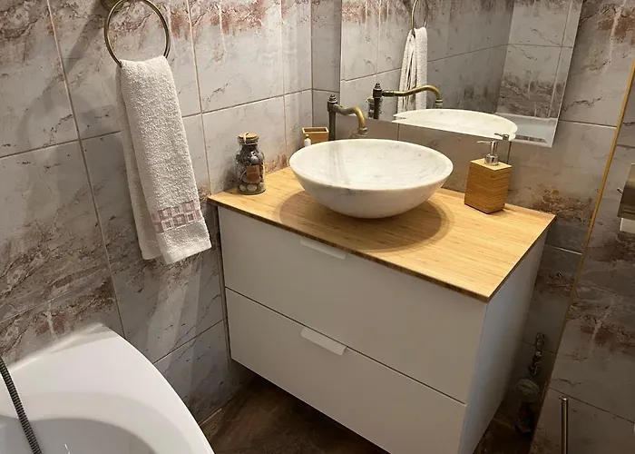 Apartment Schei Studio 1