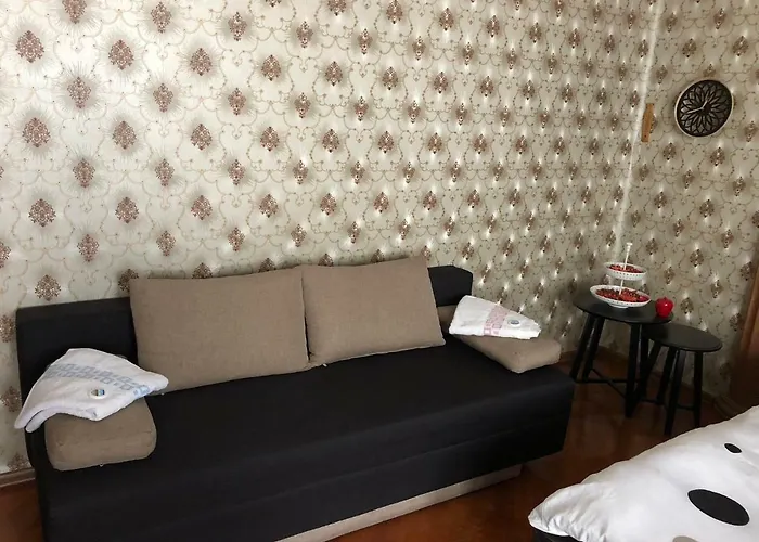 Schei Studio 1 Apartment *