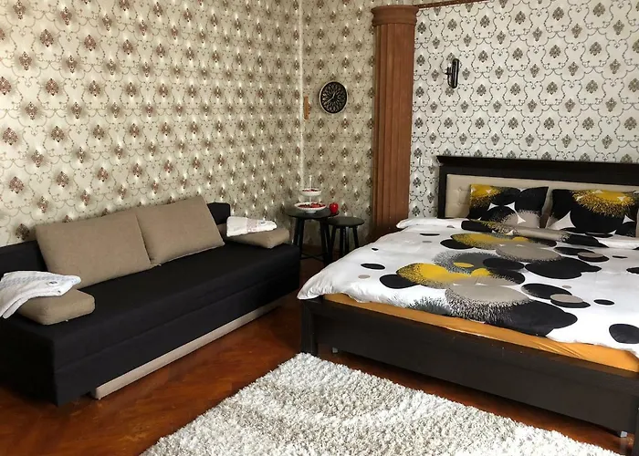 Apartment Schei Studio 1