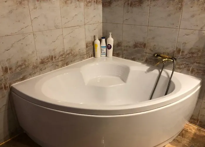 Schei Studio 1 Apartment Brasov