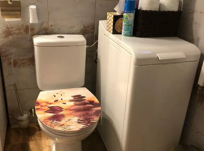 Schei Studio 1 Apartment Brasov