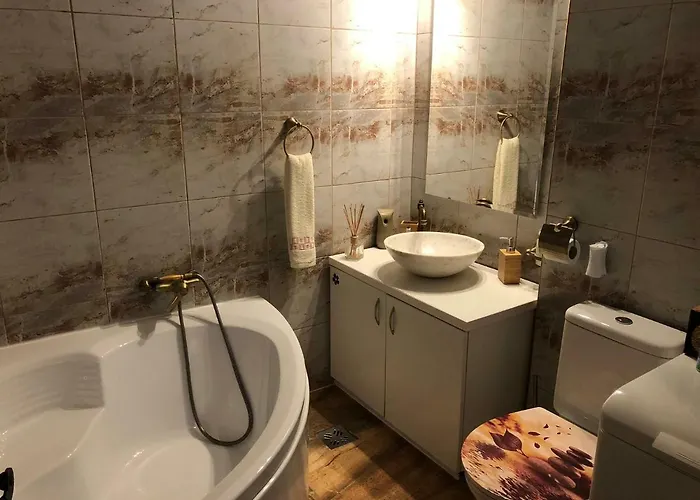 Schei Studio 1 * Brasov