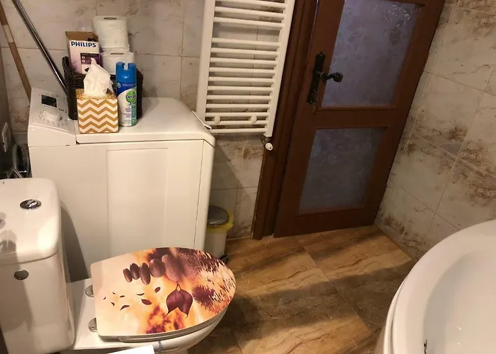 Schei 1 براشوف