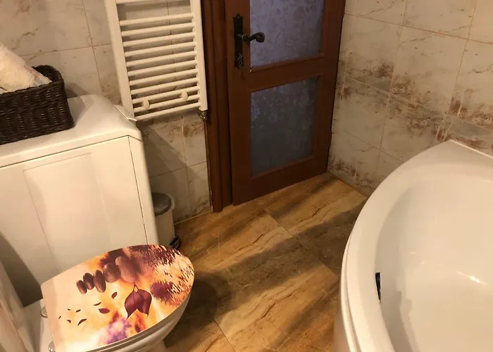 Schei Studio 1 * Brasov