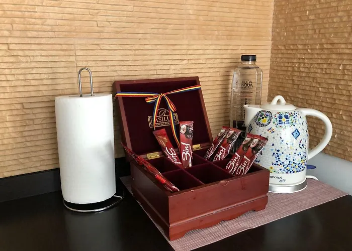 Apartment Schei Studio 1 Brasov