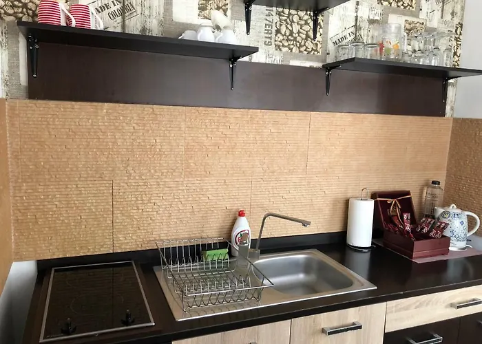 Schei Studio 1 Brasov