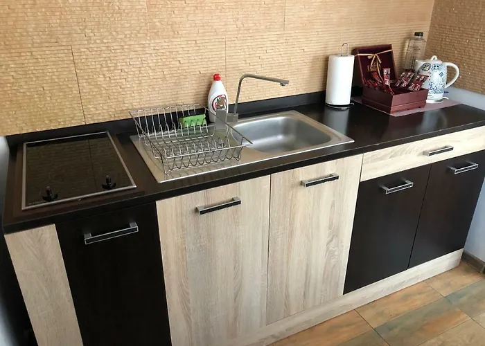 Apartment Schei Studio 1