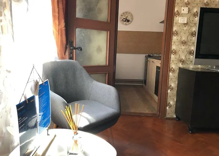 Schei Studio 1 * Brasov