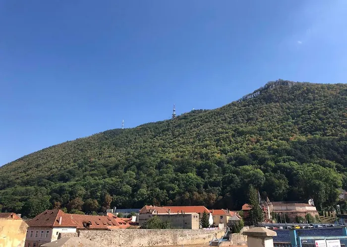 Apartment Schei Studio 1 *