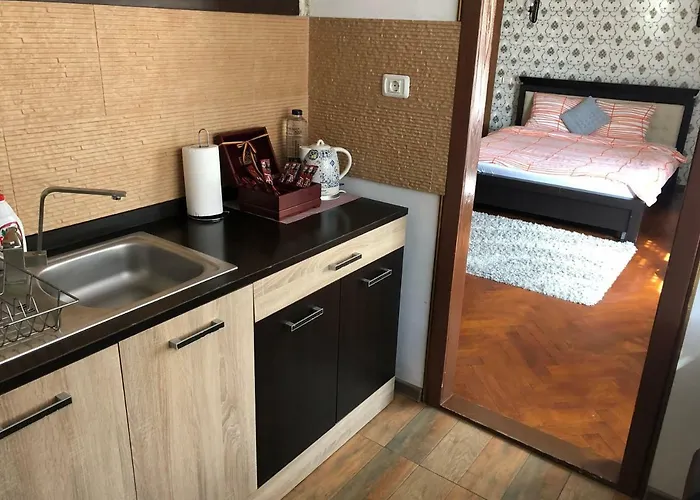 Schei Studio 1 Apartment Brasov